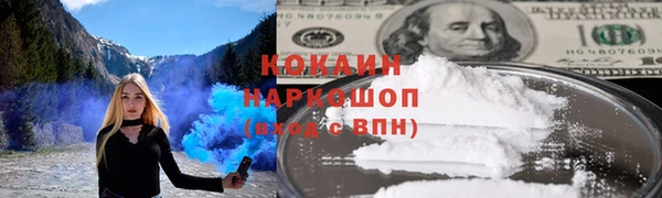 крисы Новодвинск
