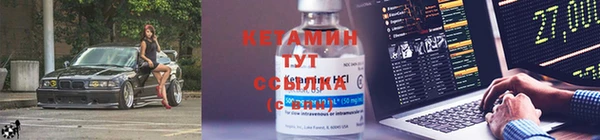 твердый Новозыбков
