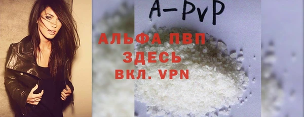 крисы Новодвинск