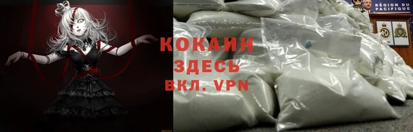 твердый Новозыбков