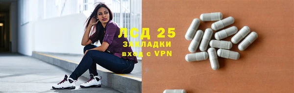 твердый Новозыбков