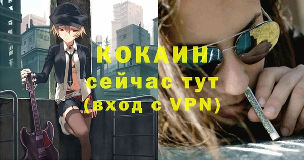 твердый Новозыбков