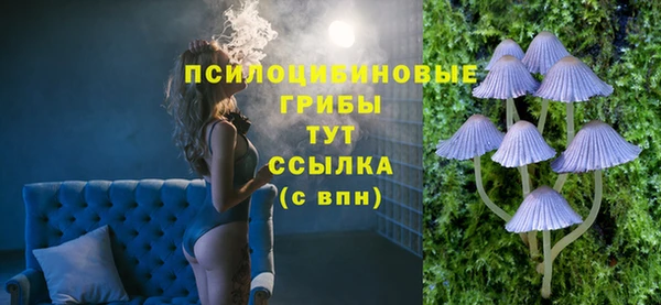 твердый Новозыбков