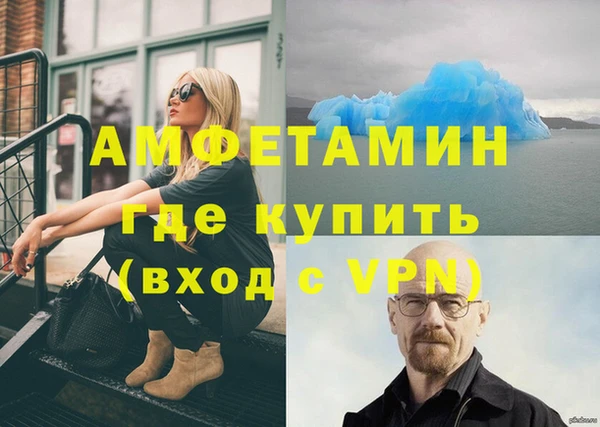 крисы Новодвинск