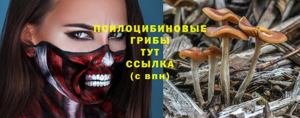 бошки Новокубанск