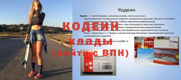 твердый Новозыбков