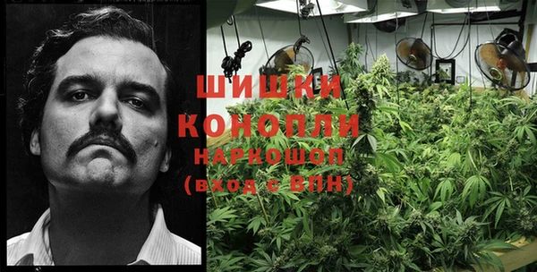 крисы Новодвинск