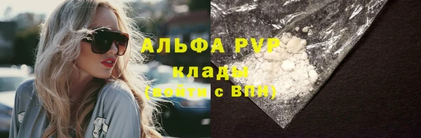 твердый Новозыбков