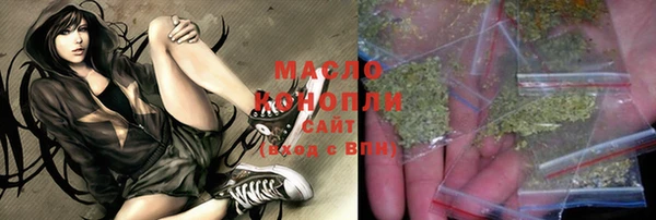 крисы Новодвинск