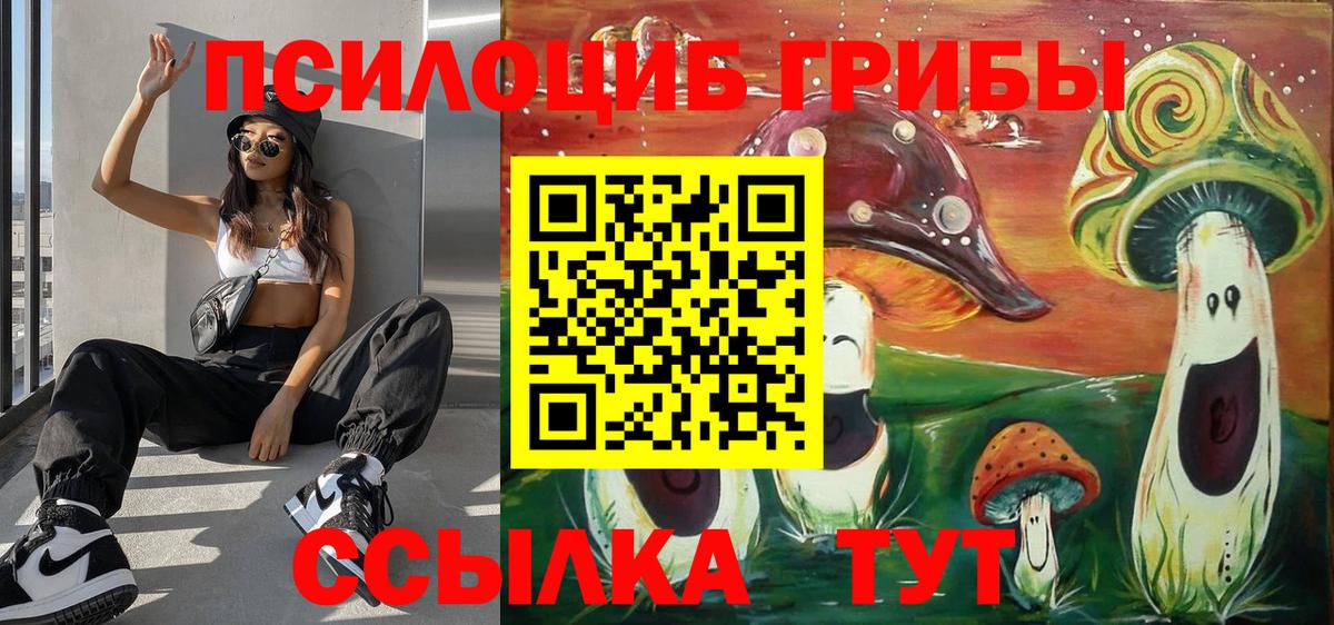 Галлюциногенные грибы Psilocybine cubensis Рассказово