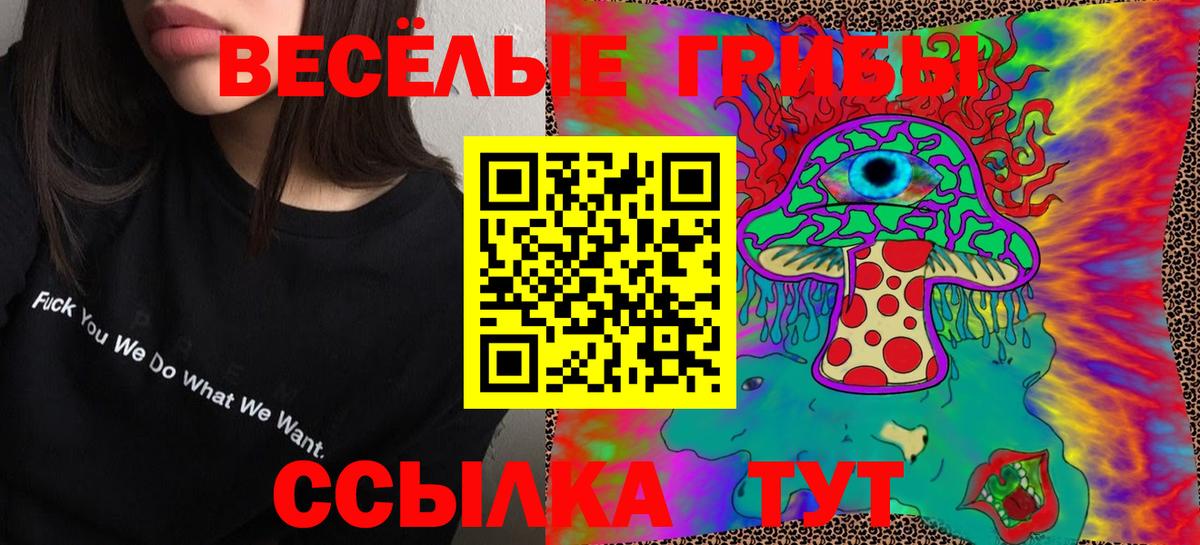 Рассказово  Псилоцибиновые грибы GOLDEN TEACHER  Псилоцибиновые грибы Cubensis  Вход с VPN 